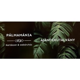 Ajándékutalvány (50.000.- Ft értékben)