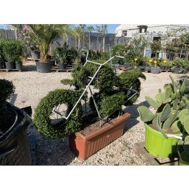 Chopper motor forma / (150 cm)