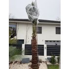 Fátyolfólia 1,6 méter * 10 méter ( 17 g/m² )