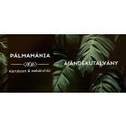 Ajándékutalvány (100.000.- Ft értékben)